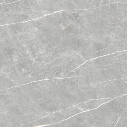 TAU CERAMICA ELITE GRAY MATT 60x60x0,9