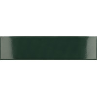 EQUIPE COSTA NOVA LAUREL GREEN GLOSSY 28440 5X20