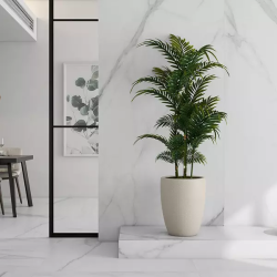 ARGENTA THOLOS WHITE NATURAL 120X260