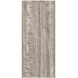ATLAS CONCORDE BOOST PRO GROVE A0LW 120X278X0,6