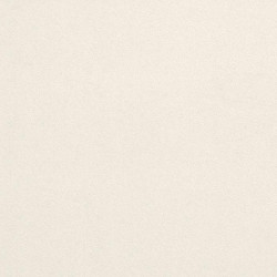 FMG MARMI MAXFINE THASSOS LUCIDATO 100X100