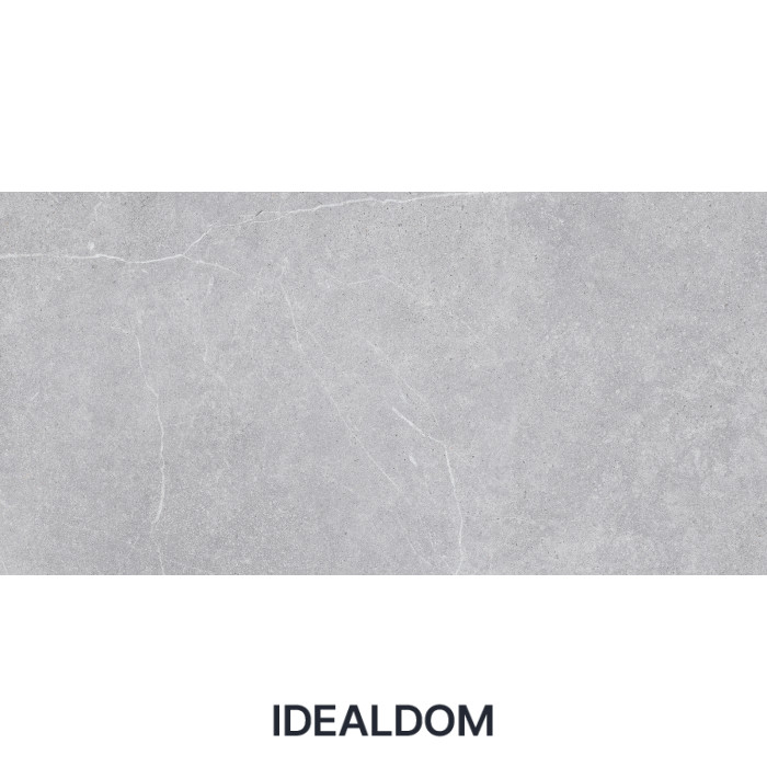 Плитка TAU CERAMICA MUST NOVASTONE SILVER RECT. 60X120