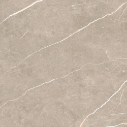 TAU CERAMICA ELITE GREIGE MATT 90x90x0,9