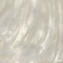 ROBERTO CAVALLI BRIGHT PEARL 0531347/P P.IVORY RET 80X80