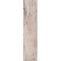 ABK DOLPHIN MOON 40X170