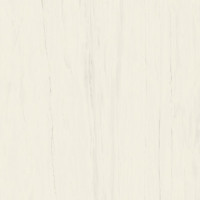 ATLAS CONCORDE MARVEL STONE BIANCO DOLOMITE RT LAPPATO AO53 160X160X0,6