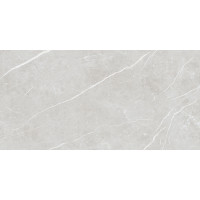 TAU CERAMICA ELITE SILVER PUL 60x120