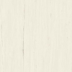 ATLAS CONCORDE MARVEL STONE BIANCO DOLOMITE LAPPATO AZTT 120X120X0,9