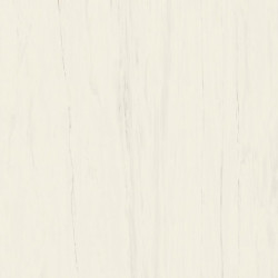 ATLAS CONCORDE MARVEL STONE BIANCO DOLOMITE RT LAPPATO AO53 160X160X0,6