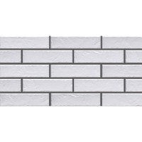 CERRAD FOGGIA BIANCO 6.5X24.5