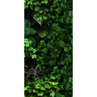 41ZERO42 PAPER41 PRO JANE D 4100154 50X100X0,35