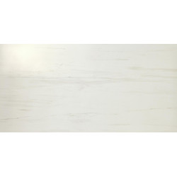 ATLAS CONCORDE MARVEL STONE BIANCO DOLOMITE 60X60