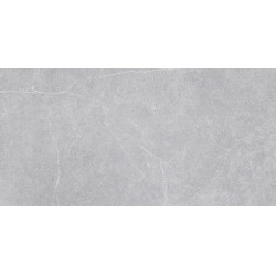 TAU CERAMICA MUST NOVASTONE SILVER RECT. 60X120