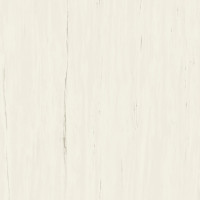 ATLAS CONCORDE MARVEL STONE BIANCO DOLOMITE MATT A204 120X120X0,9