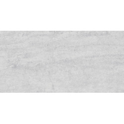 CERRAD DIGNITY LIGHT GREY RECT 59.7X119.7X0.8