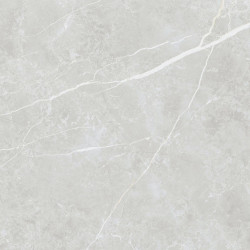 TAU CERAMICA ELITE SILVER MATT 60x60x0,9