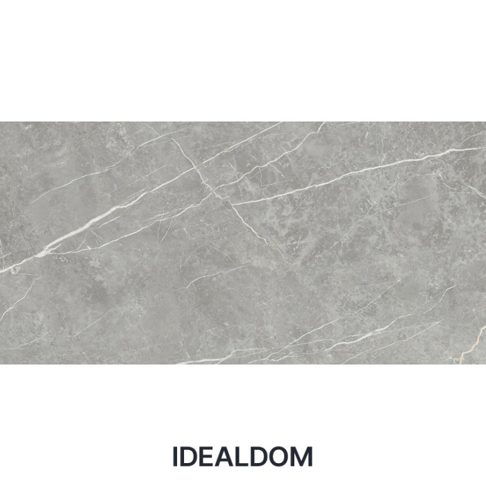 Плитка TAU CERAMICA ELITE GRAY MATT REC 60x120