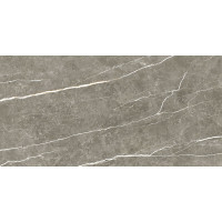 TAU CERAMICA ELITE GRAPHITE PUL 60x120