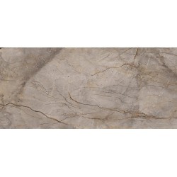 APAVISA WILD FOREST GREY POLISHED 119,3x260