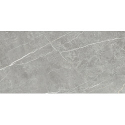 TAU CERAMICA ELITE GRAY MATT REC 60x120