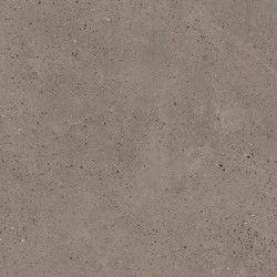 PARADYZ INDUSTRIALDUST TAUPE RECT 59,8X59,8X0,9
