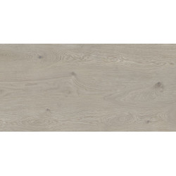 NEWKER ALPINE GREY 60x120