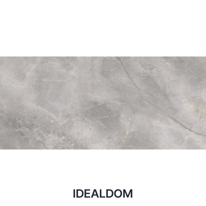 Плитка CERRAD MASTERSTONE SILVER 120X280
