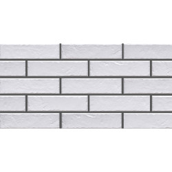 CERRAD FOGGIA BIANCO 6.5X24.5