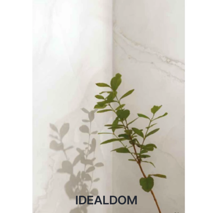 Плитка IMOLA THE ROOM ABS WH6 12 RM 60X120