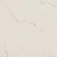 DADO MARMI PREGIATI SUPREME CALACATTA RET 60X60