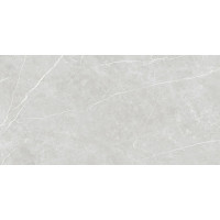 TAU CERAMICA ELITE SILVER MATT REC 60x120