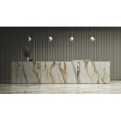 STARGRES CALACATTA GOLD RECT 60X120X1