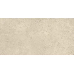 AZUVI SHALEM NATURAL MATT RECT 60X120