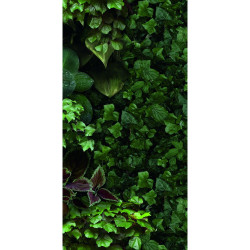 41ZERO42 PAPER41 PRO JANE D 4100154 50X100X0,35