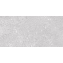 AZUVI EFESO LIGHTGREY MATT RECT 60X120