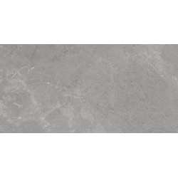 AZUVI EFESO GREY MATT RECT 60X120