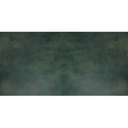 DECORATORI BASSANESI LUCI DI VENEZIA CRISTALLO GREEN 60X120