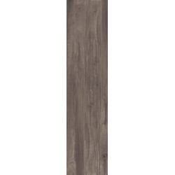 ABK DOLPHIN COAL 40X170