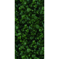 41ZERO42 PAPER41 PRO JANE E 4100155 50X100X0,35
