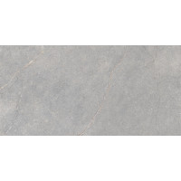 LEA CERAMICHE ANTHOLOGY 04 GRAY NATURAL LGXAL45 60X120