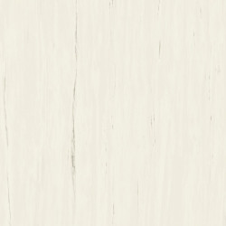 ATLAS CONCORDE MARVEL STONE BIANCO DOLOMITE MATT A204 120X120X0,9