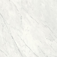 DADO MARMI PREGIATI SUPREME STATUARIO LAPPATO RET 59X59