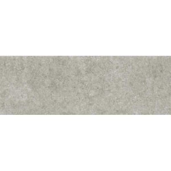 COVERLAM BLUE STONE GRIS 5.6 MM 100x300