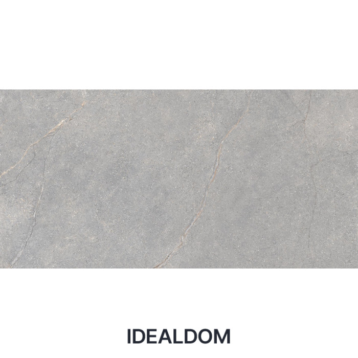 Плитка LEA CERAMICHE ANTHOLOGY 04 GRAY NATURAL LGXAL45 60X120