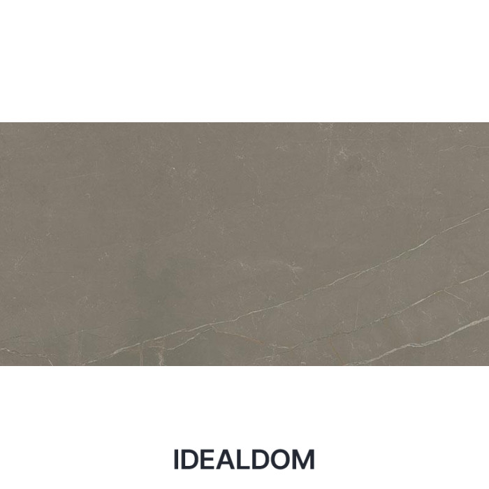 Плитка PARADYZ LINEARSTONE TAUPE GRES SZKL. REKT. MAT. 59.8x119.8