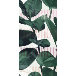 41ZERO42 PAPER41 PRO OLIVIA 50X100