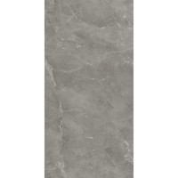 ATLAS CONCORDE MARVEL GREY FLEURY MATT A21F 60x120X0,9