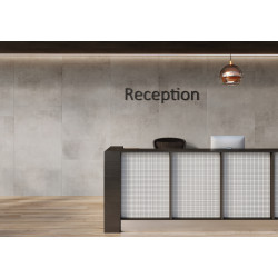 CERRAD CONCRETE GRIS 59.7X59.7