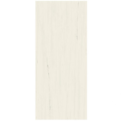 ATLAS CONCORDE MARVEL STONE BIANCO DOLOMITE MATT A2RS 120X278X0,6