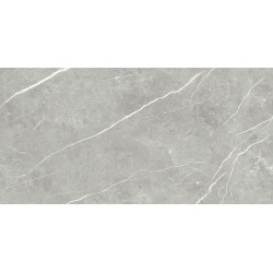 TAU CERAMICA ELITE GRAY PUL 60x120